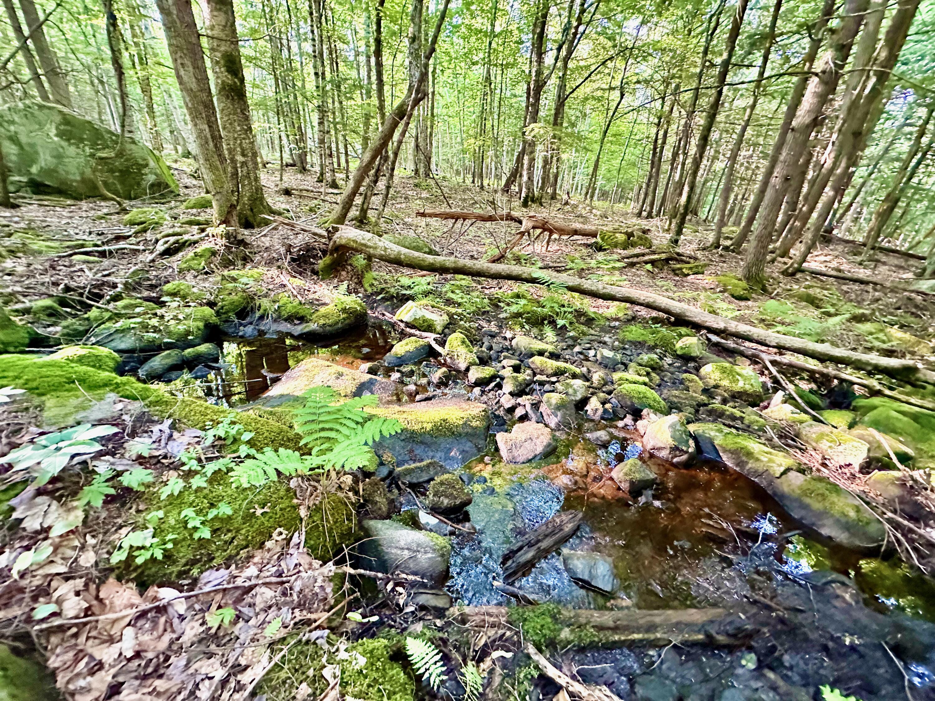 89 Poplar Point Road Mount Vernon, ME 04352 - Photo 33 of 113 BABBLING BROOK