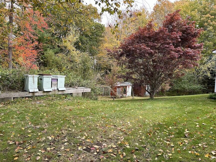 507 Pool Street Biddeford, ME 04005 - Photo 29 of 36 Back Yard Apiary