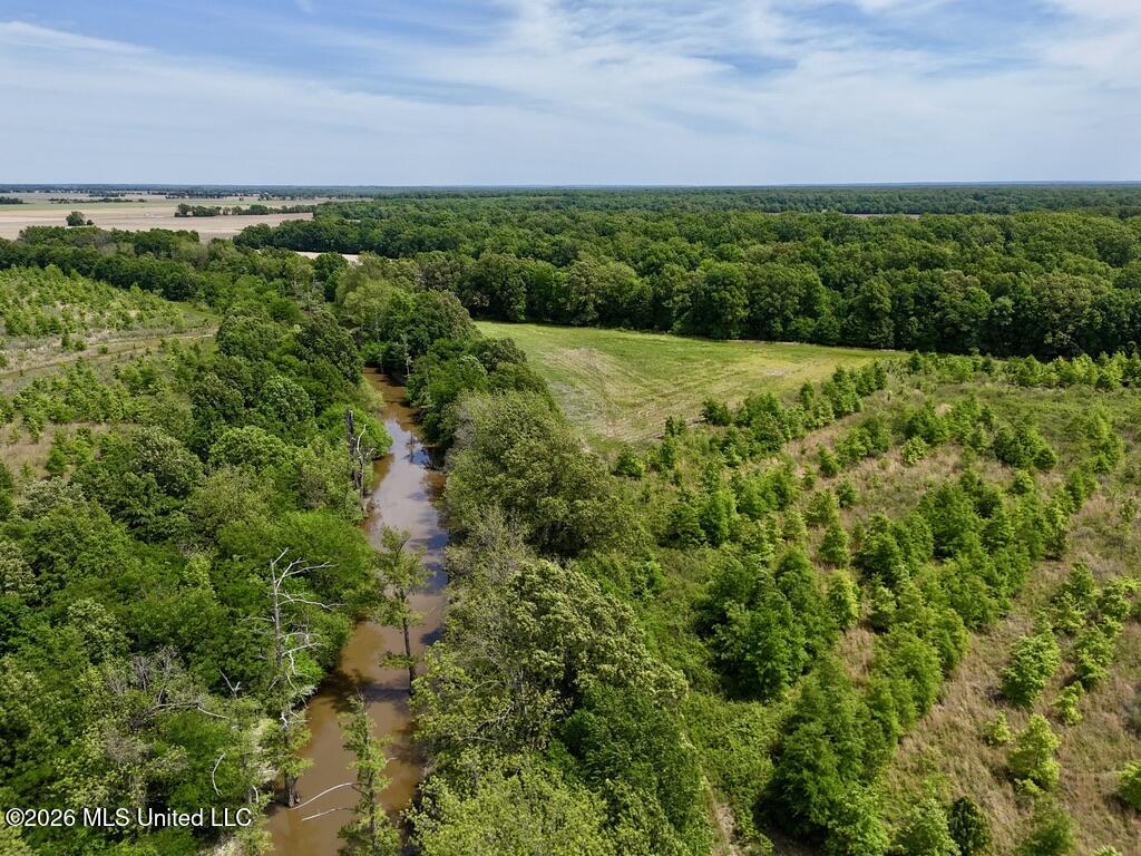 1 Highway 3 Lambert, MS 38643 - Photo 92 of 102 01E5008C-E4F6-4E89-A0B2-FF4F7976930F_1_1
