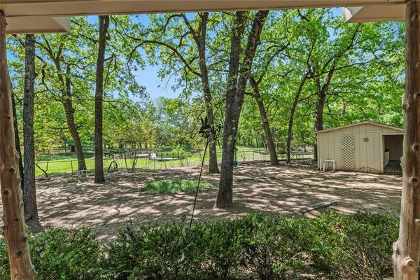 a view of a yard with plants and trees