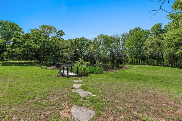 a view of a park with large trees
