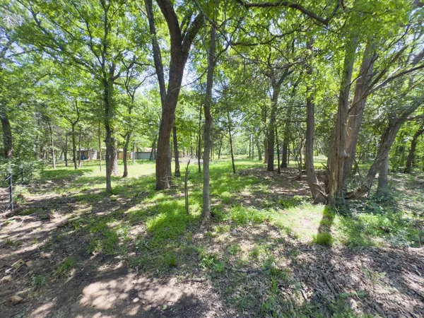 a view of outdoor space with trees all around