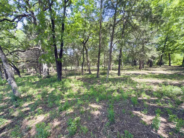 a view of outdoor space with trees all around