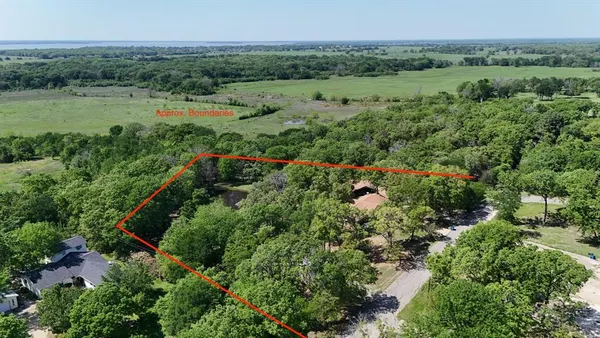 an aerial view of green landscape with trees houses and mountain view