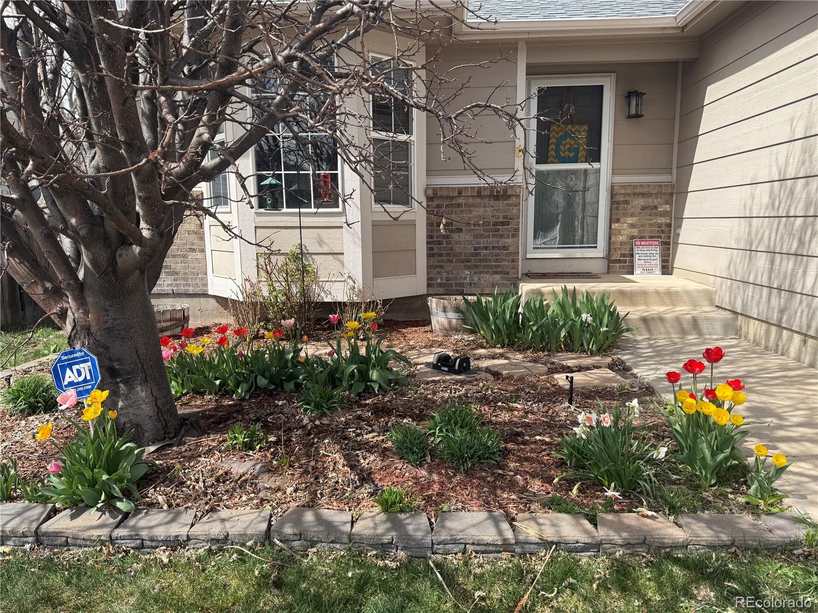 11376 Berry Farm Road Fountain, CO 80817 - Photo 2 of 35
