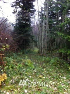 0 Silver Lake Road Oak Harbor, WA 98277 - Photo 1 of 3 Gallery Image 1
