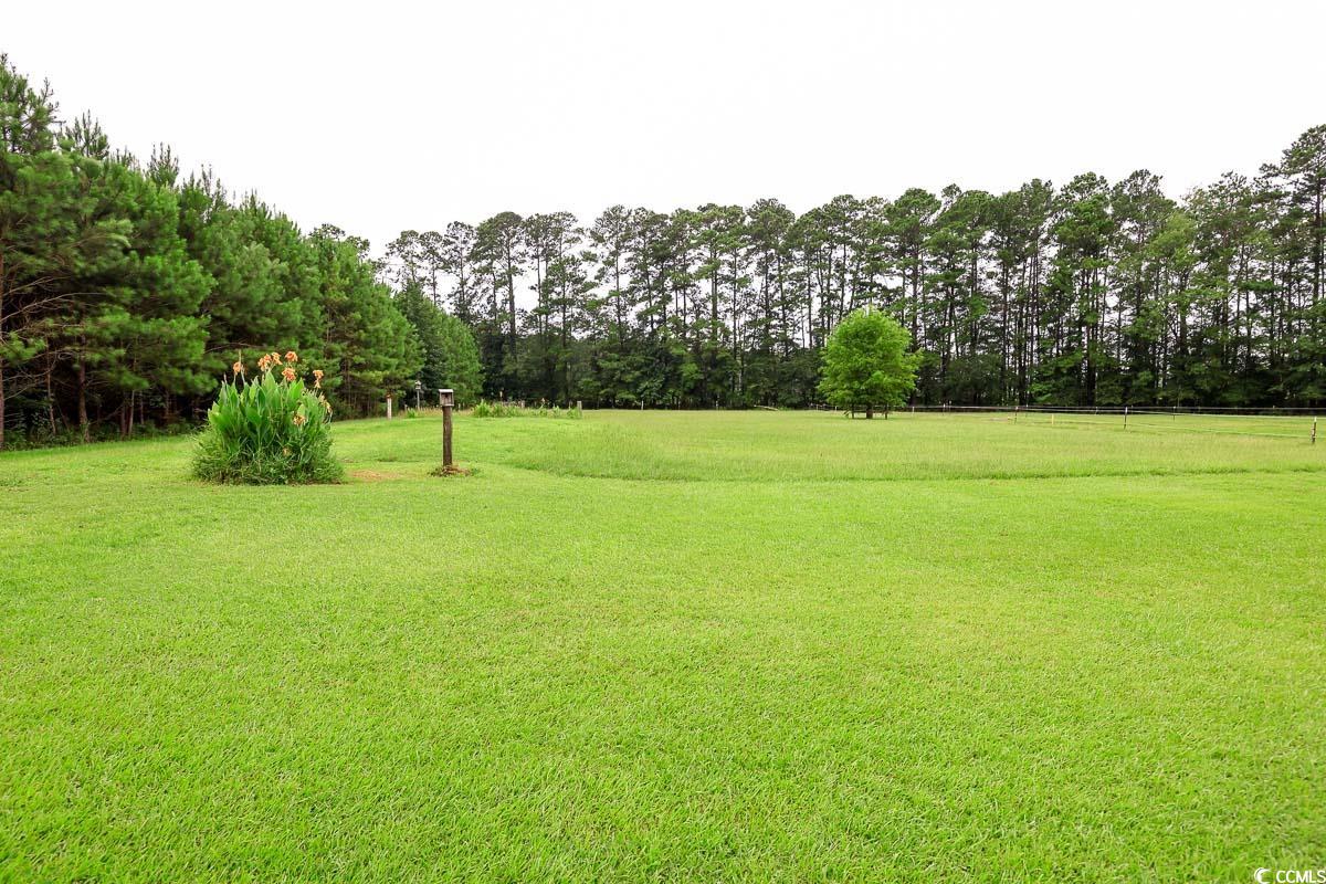 5900 Pope Martin Road Conway, SC 29527 - Photo 28 of 31 View of green lawn with view of wooded area