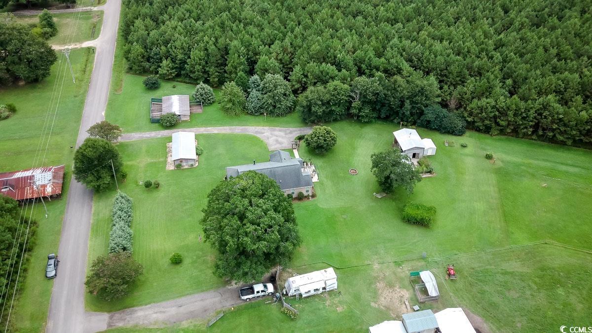 5900 Pope Martin Road Conway, SC 29527 - Photo 31 of 31 View of rural area with a forest