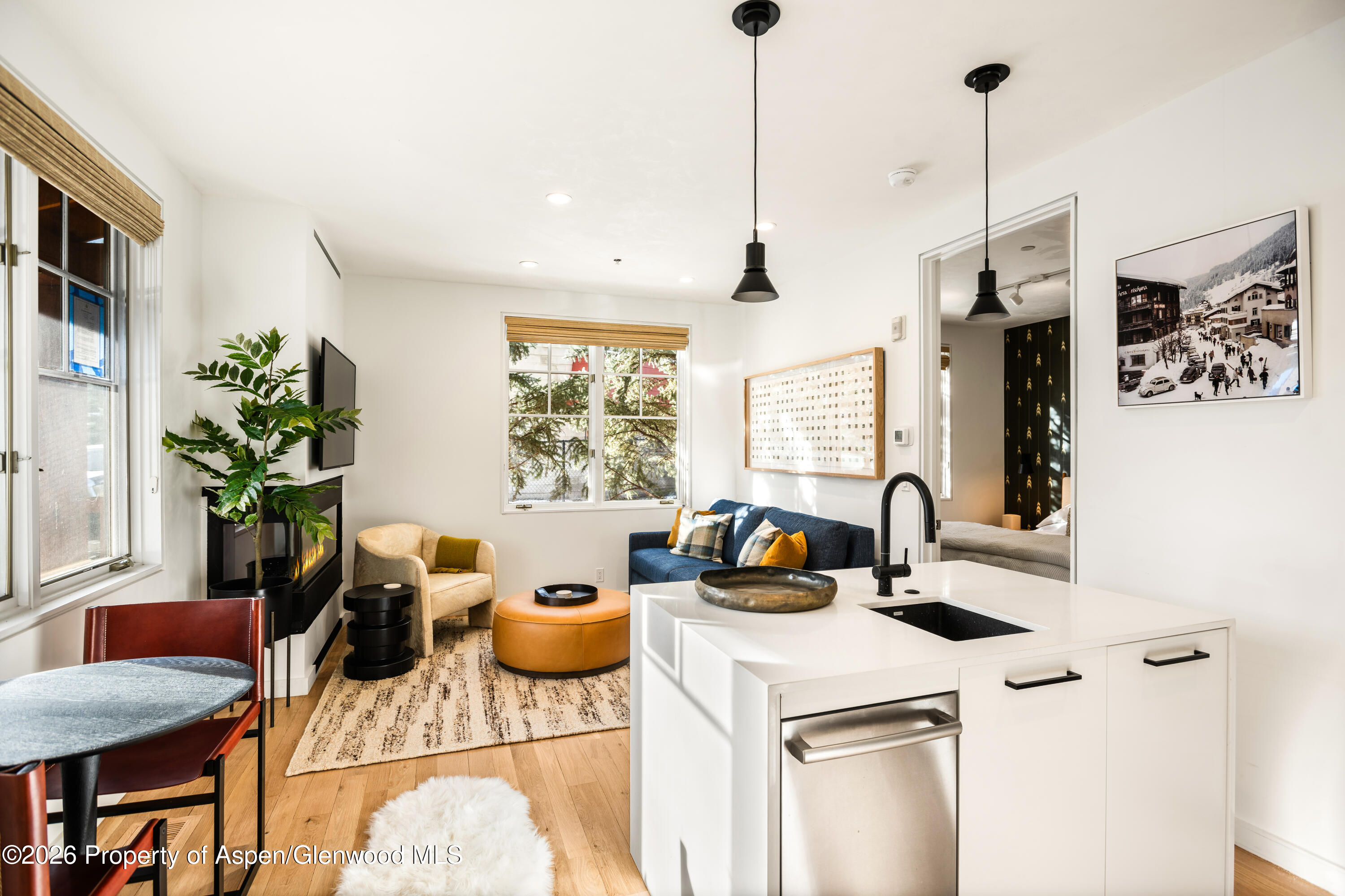 501 West Main Street, Unit A101 Aspen, CO 81611 - Photo 2 of 9 03-501WMainStA101_24112203