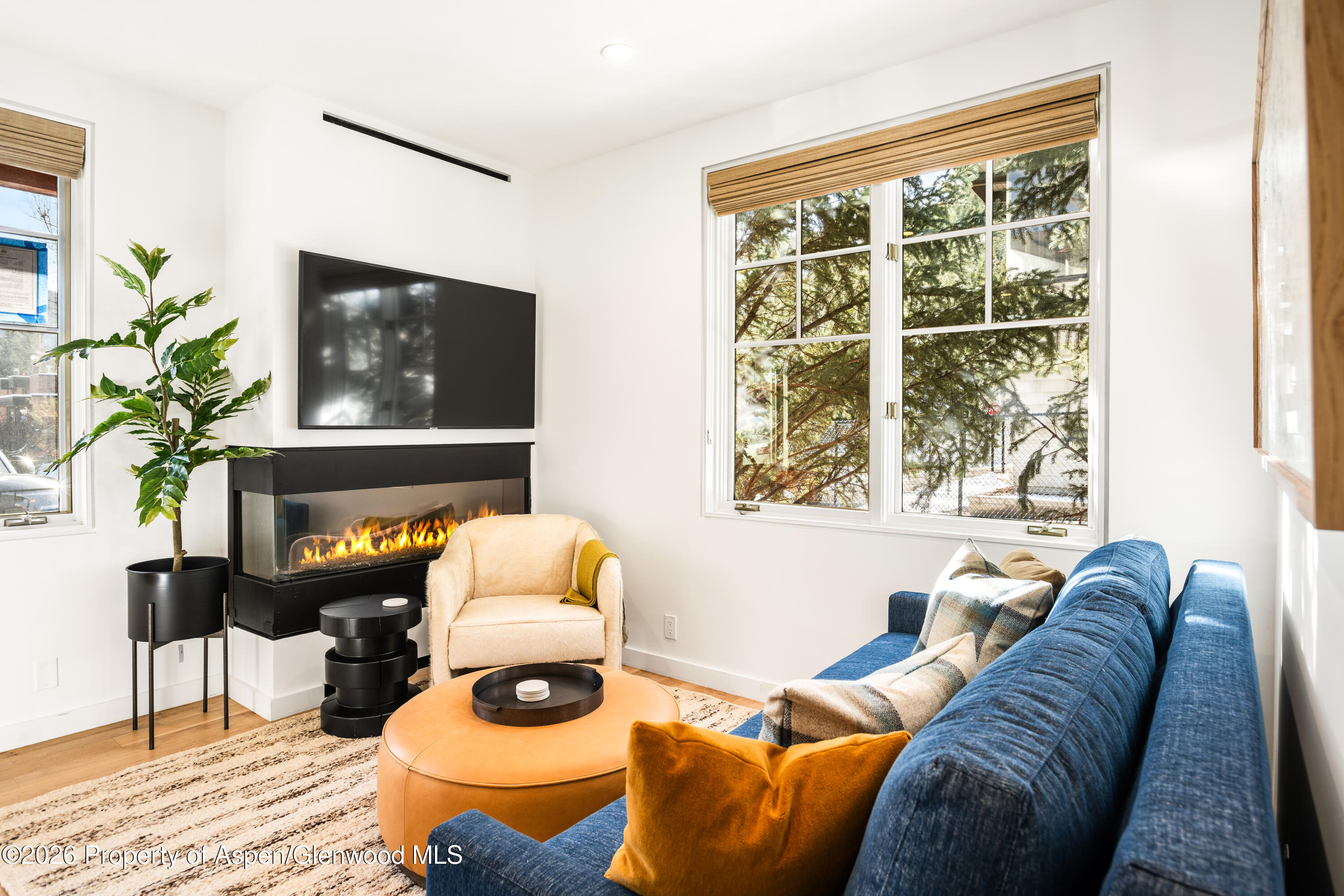 501 West Main Street, Unit A101 Aspen, CO 81611 - Photo 5 of 9 06-501WMainStA101_24112206