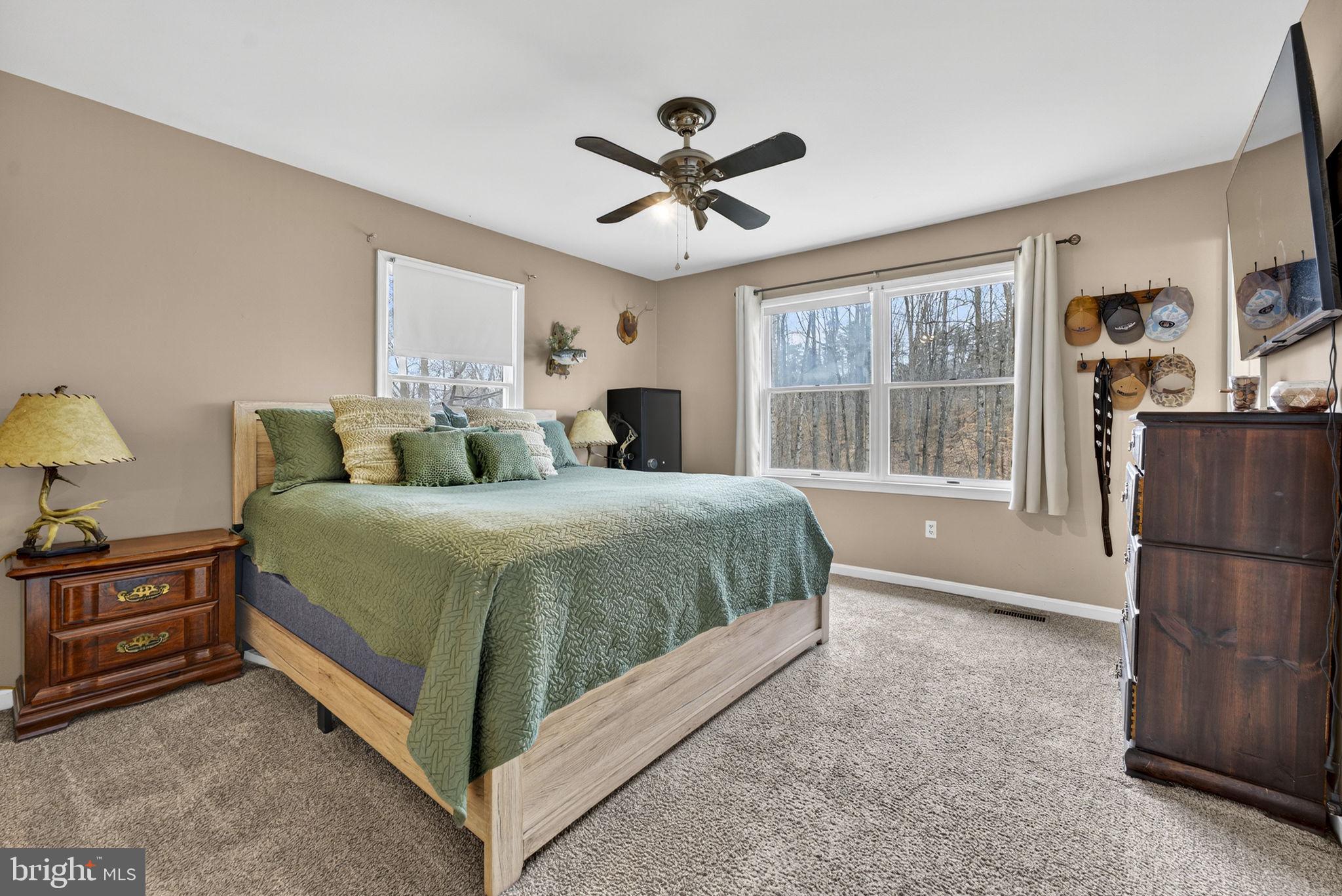 12660 Hazel River Road Rixeyville, VA 22737 - Photo 32 of 49