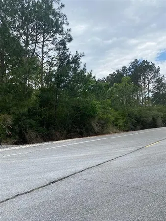 $451,000 | 0 Holbrook Park Road, Dequincy, LA 70633