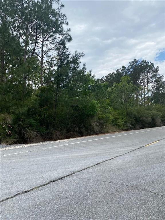 0 Holbrook Park Road Dequincy, LA 70633 - Photo 1 of 4