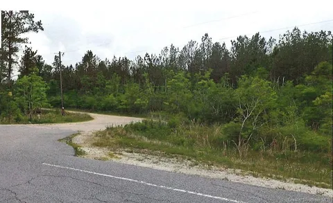 $451,000 | 0 Holbrook Park Road, Dequincy, LA 70633