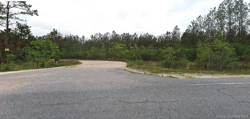 0 Holbrook Park Road Dequincy, LA 70633 - Photo 3 of 4