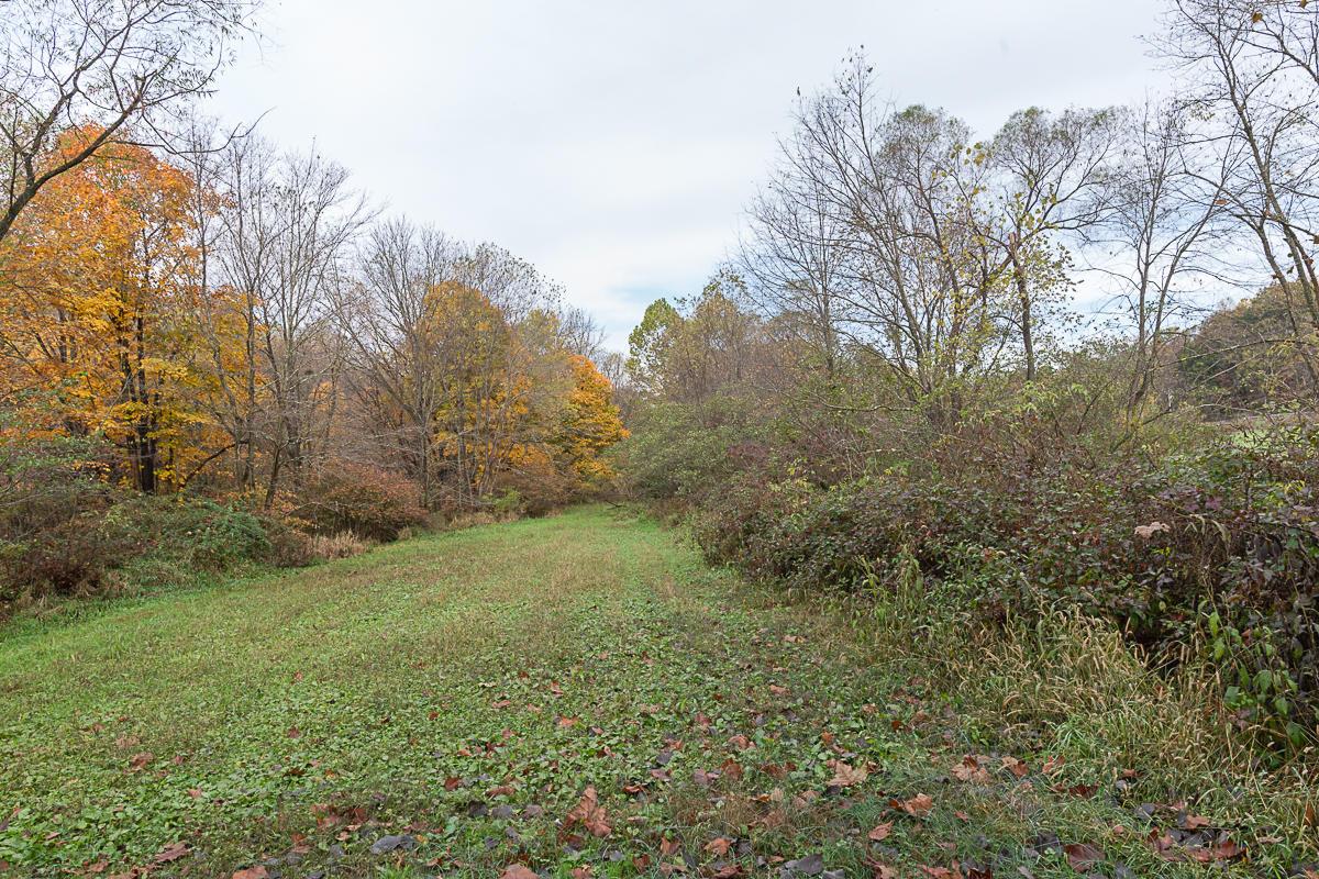 30400 Jug Run Road Frazeysburg, OH 43822 - Photo 35 of 53