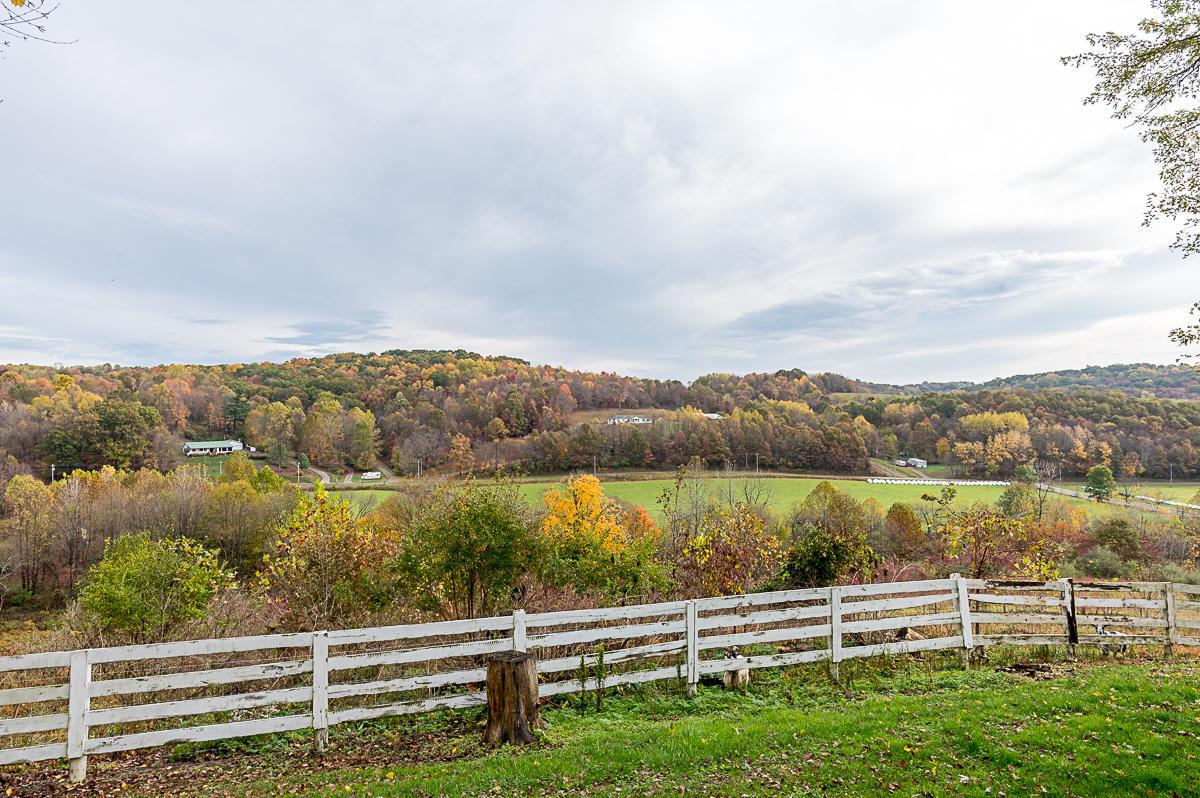 30400 Jug Run Road Frazeysburg, OH 43822 - Photo 38 of 53