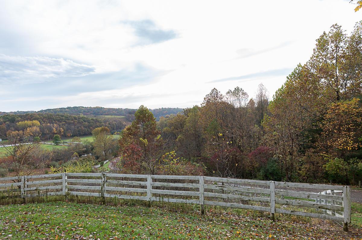 30400 Jug Run Road Frazeysburg, OH 43822 - Photo 40 of 53