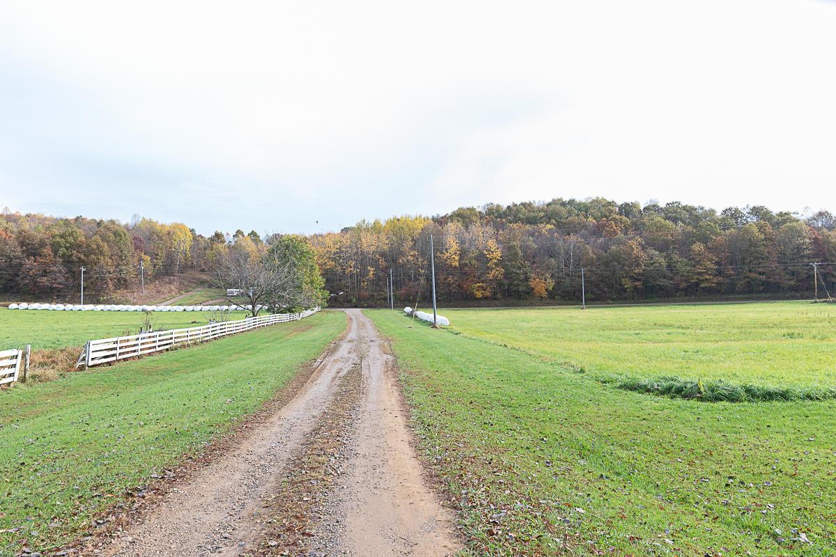 30400 Jug Run Road Frazeysburg, OH 43822 - Photo 44 of 53
