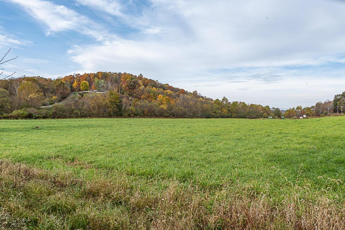 30400 Jug Run Road Frazeysburg, OH 43822 - Photo 46 of 53