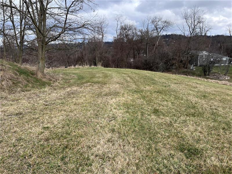 0 Elm Street Washington, PA 15301 - Photo 22 of 36 a view of a yard with a tree