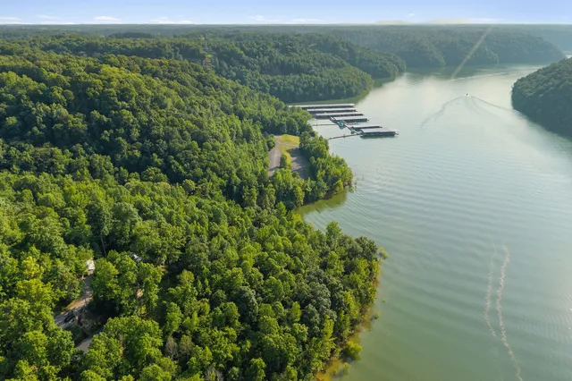 a swimming pool with lots of tress in front of it