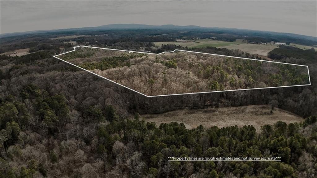 0 Folsom Road Fairmount, GA 30139 - Photo 3 of 16