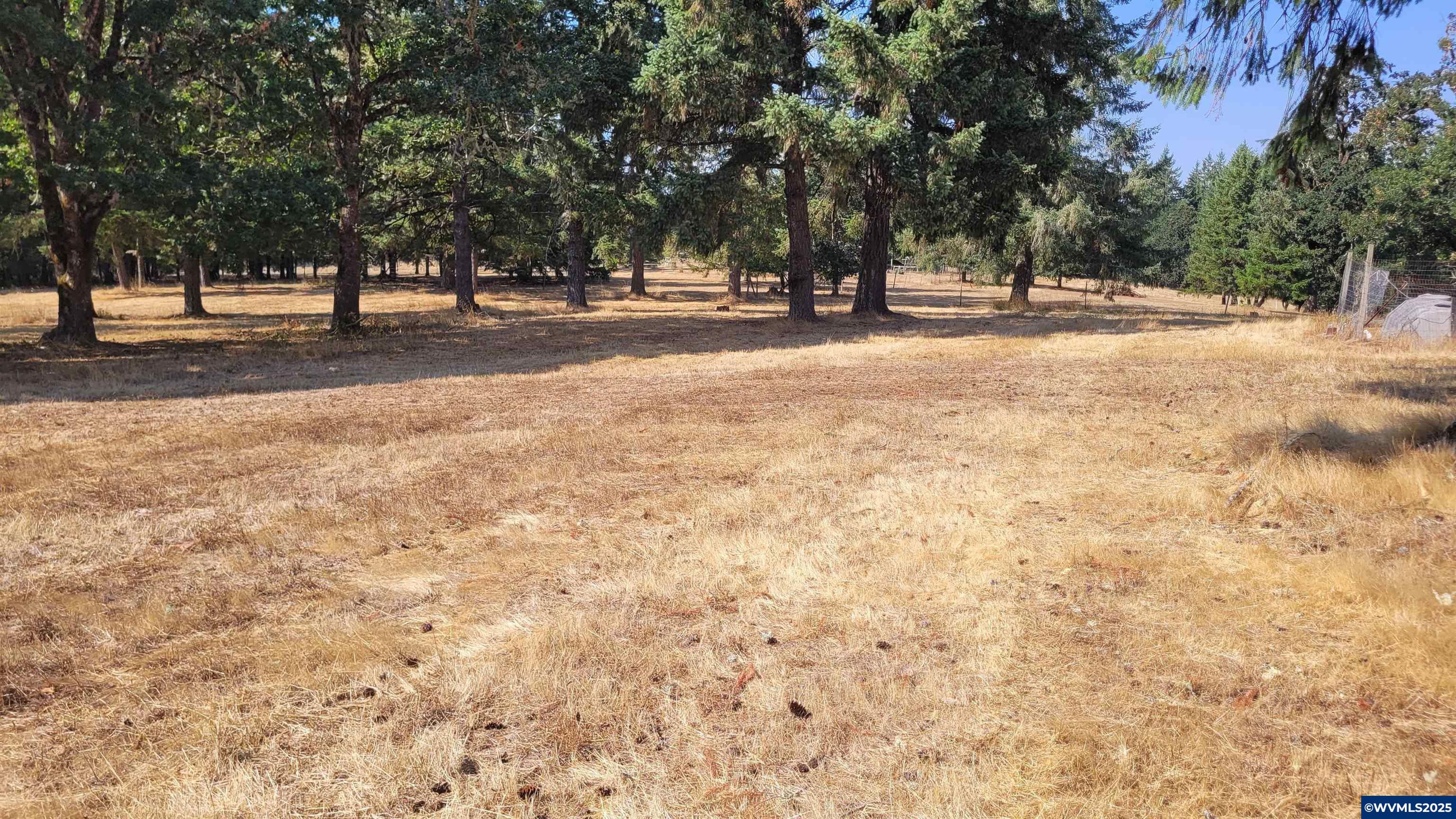 Lot 1300 Pioneer Road Dallas, OR 97338 - Photo 5 of 10 Gallery Image 5