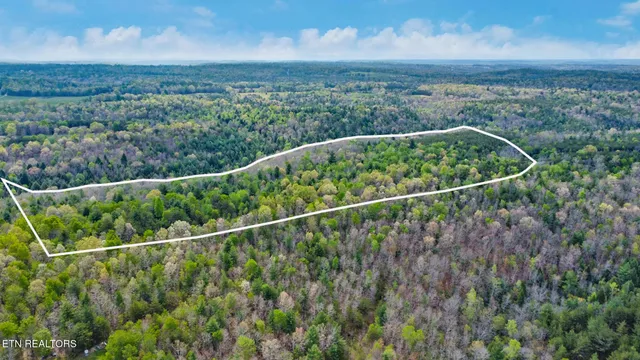 $325,000 | 55.91 Old Collins Road, Deer Lodge, TN 37726