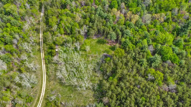 $325,000 | 55.91 Old Collins Road, Deer Lodge, TN 37726