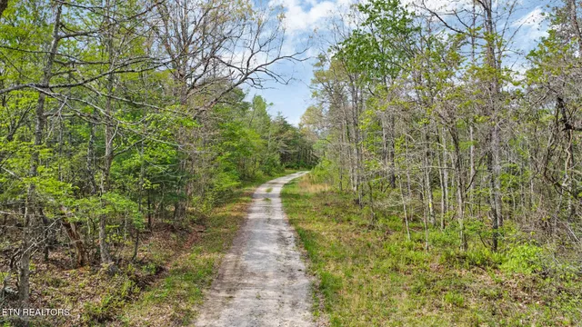 $325,000 | 55.91 Old Collins Road, Deer Lodge, TN 37726