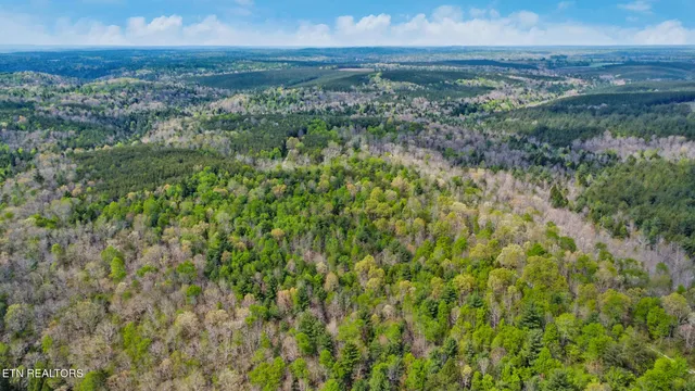 $325,000 | 55.91 Old Collins Road, Deer Lodge, TN 37726