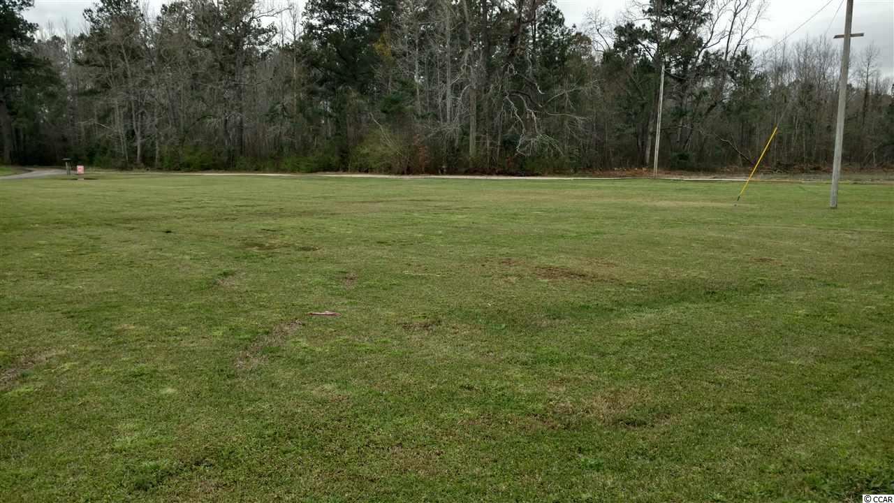 45 Geranium Lane Andrews, SC 29510 - Photo 2 of 13 Gallery Image 2