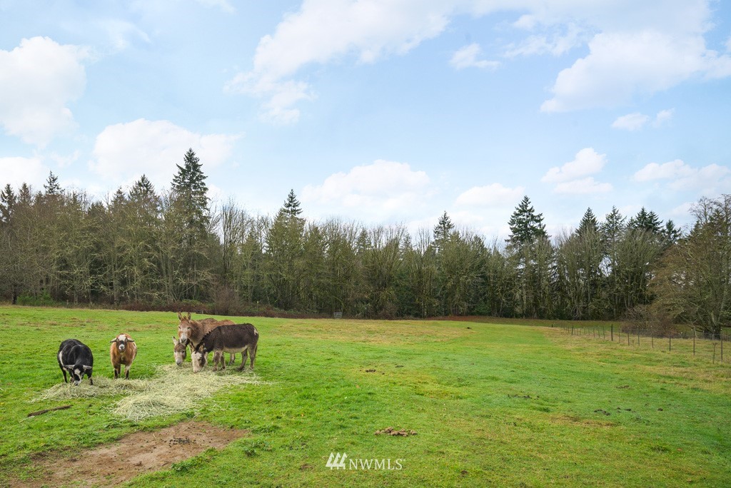 20981 Pugh Road Northeast Poulsbo, WA 98370 - Photo 33 of 40 Gallery Image 33