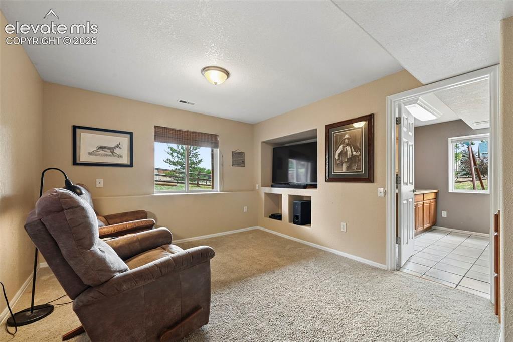 12571 Scamper Road Peyton, CO 80831 - Photo 28 of 49 Basement entertainment area