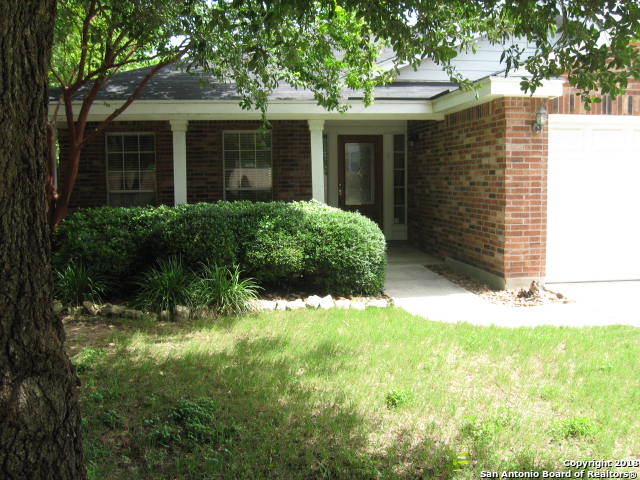 a view of a house with a yard and plants
