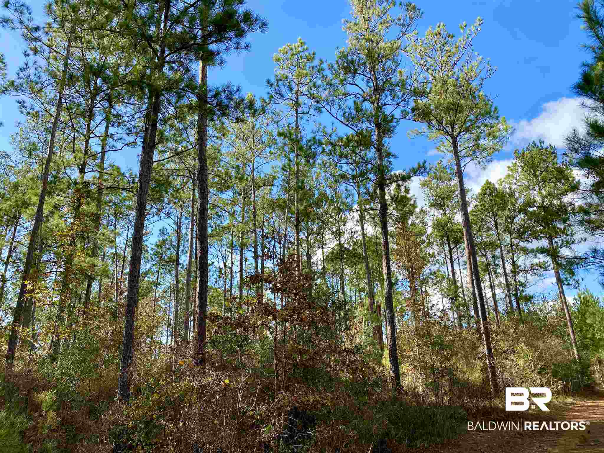 0 Whitetail Run Chatom, AL 36518 - Photo 26 of 29