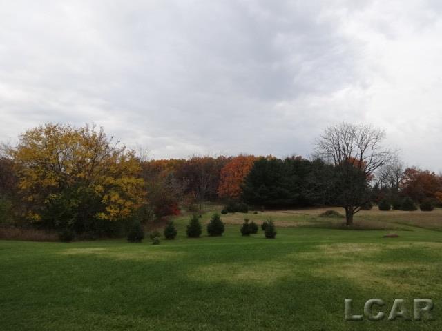 14685 Tracey Road Manchester, MI 48158 - Photo 56 of 62 31309042-55.JPG