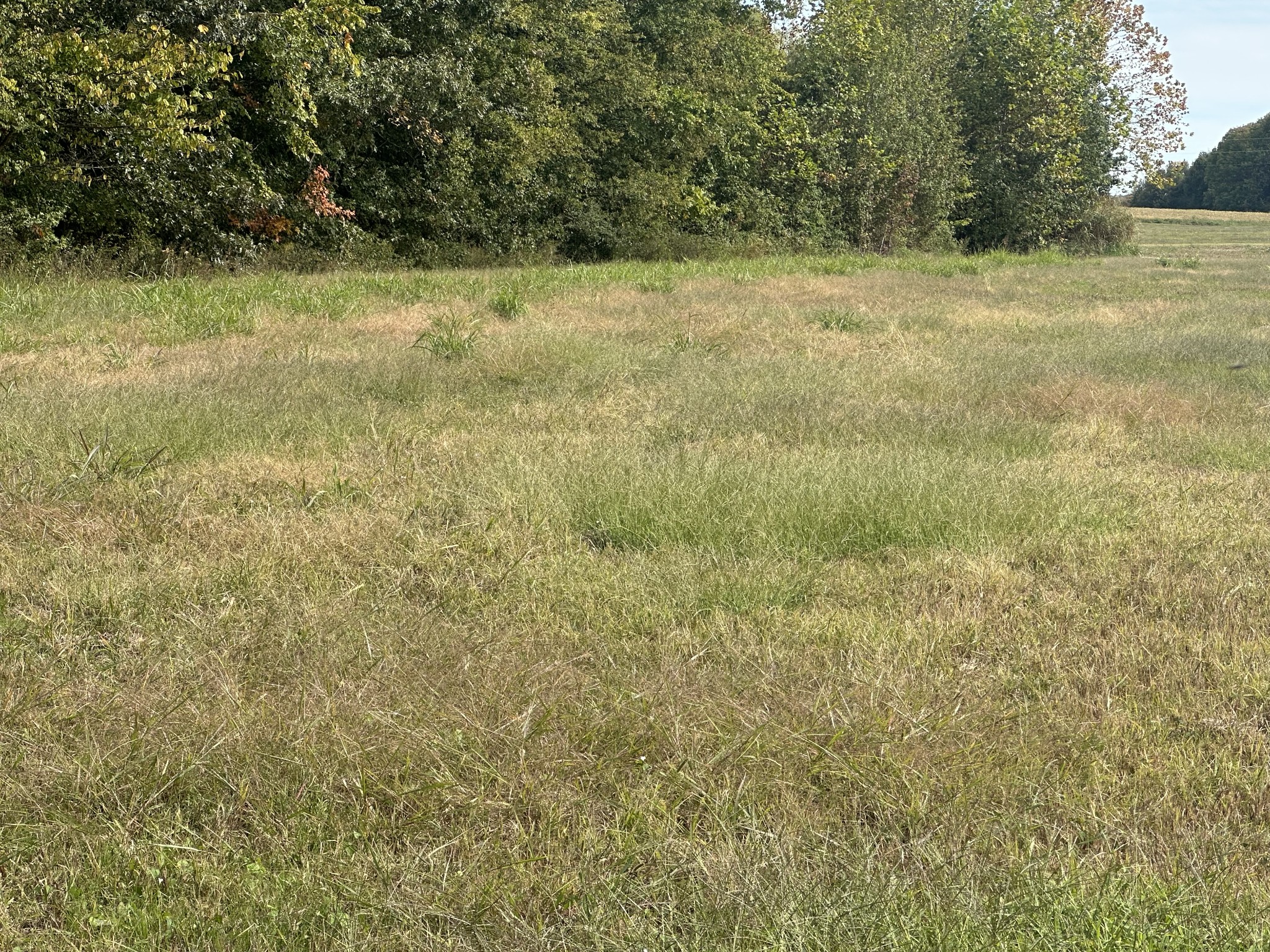 0 North Pitt Road Springfield, TN 37172 - Photo 2 of 7 a view of a field with trees in the background