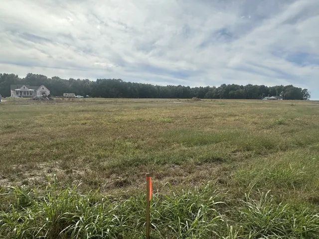 a view of a lake from a yard