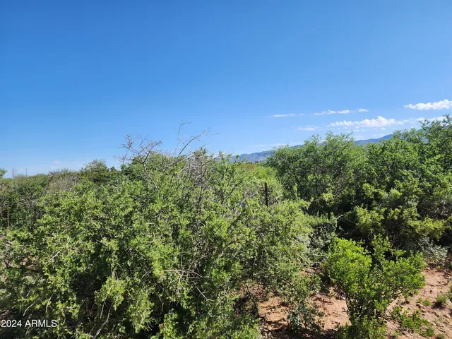 $36,000 | Lot 4 East Willys Run Road, Bisbee, AZ 85603