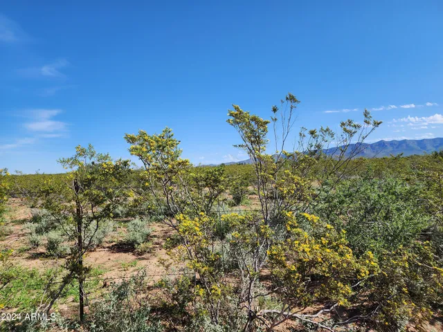$36,000 | Lot 4 East Willys Run Road, Bisbee, AZ 85603