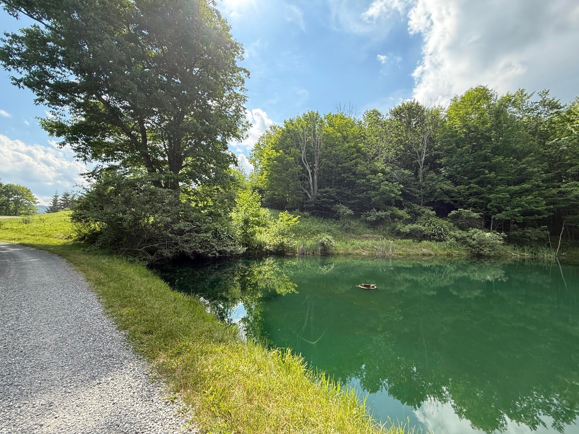 206 Sunset Pass Road Slatyfork, WV 26291 - Photo 2 of 10 IMG_6934