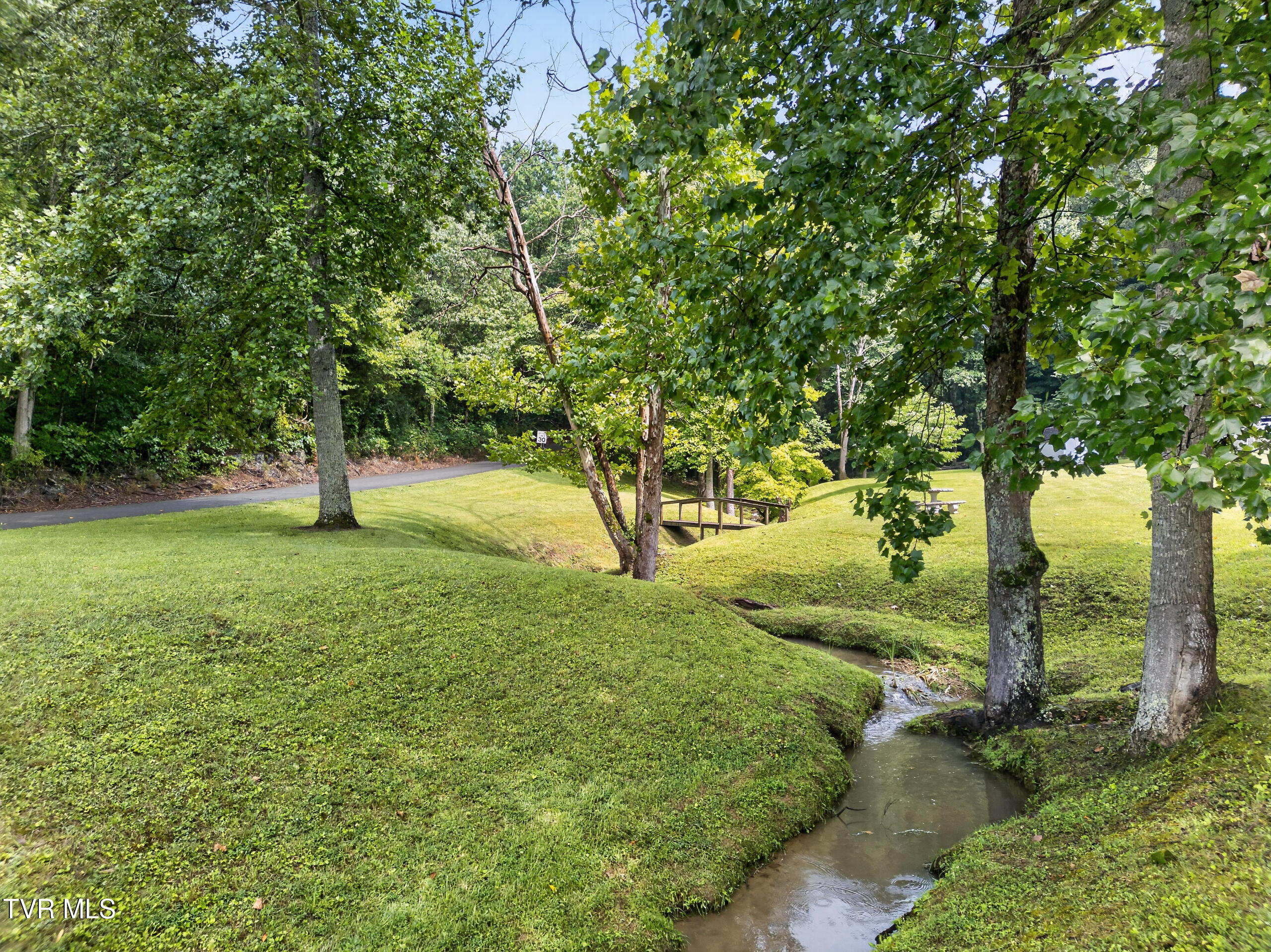 860 Bales Road Mosheim, TN 37818 - Photo 19 of 60 DJI_0937