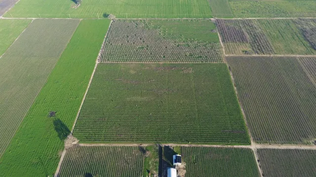 a living room with a couch