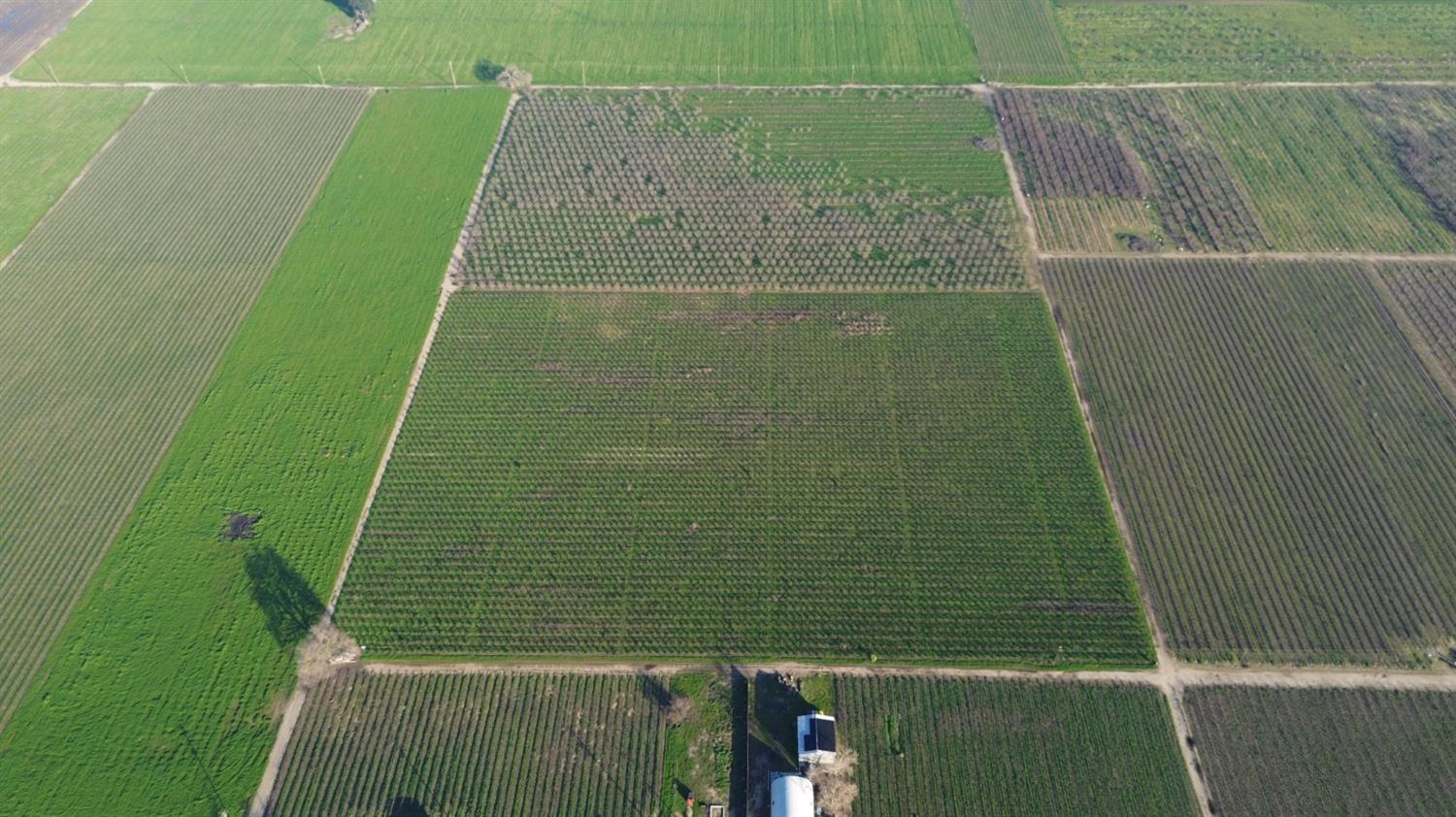 15910 North Locust Tree Road Lodi, CA 95240 - Photo 13 of 24