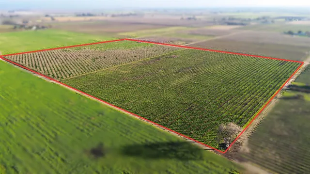 a view of a field with an ocean view