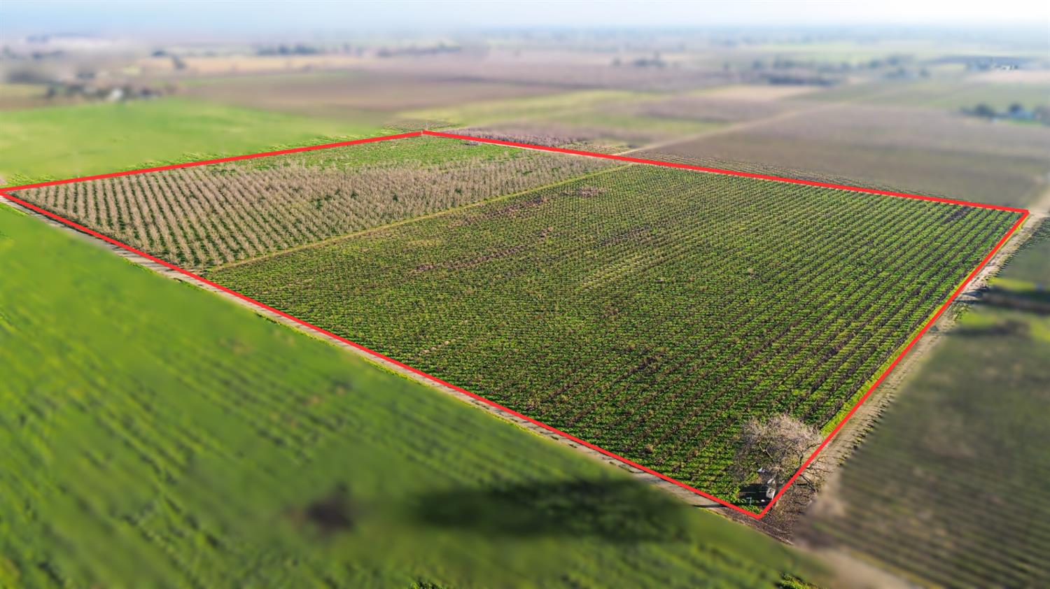 15910 North Locust Tree Road Lodi, CA 95240 - Photo 2 of 24 a view of a field with an ocean view