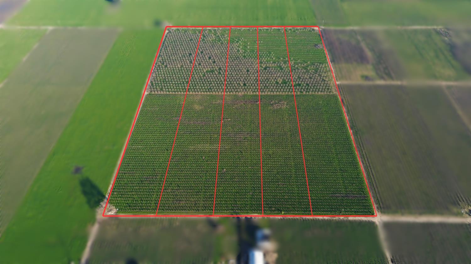 15910 North Locust Tree Road Lodi, CA 95240 - Photo 4 of 24 a view of a bird