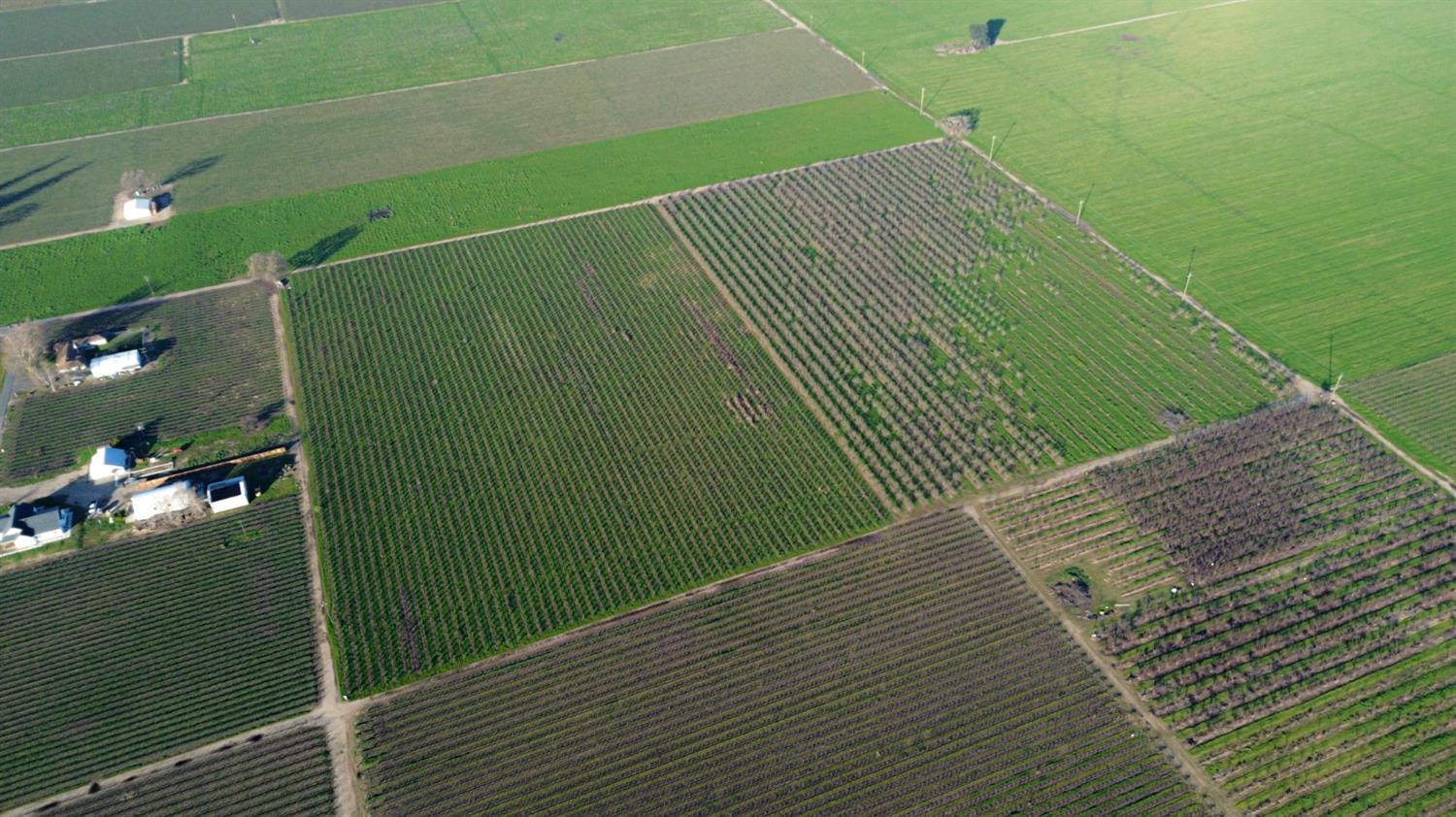 15910 North Locust Tree Road Lodi, CA 95240 - Photo 5 of 24